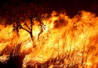 Incêndios Florestais